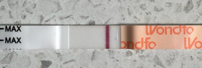 Evap or vvvvfl? Wondfo 9dpo