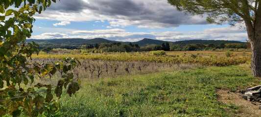 The Nigel Slater Christmas Chronicles Readalong 2025