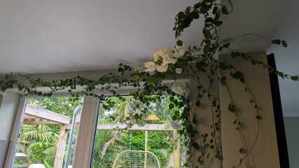 Cancer Support Thread 97: support for those diagnosed and going through treatment