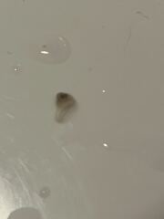 What the fffff is this?