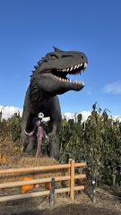 Daily Project round 8