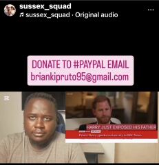 Can someone explain the origins and organisation of the “Sussex Squad”?