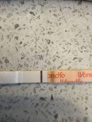 Wondfo vs FRER