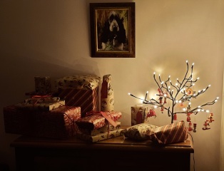 Ideas on what to put in a fill your own advent calendar?