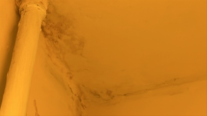 Damp and a vulnerable child