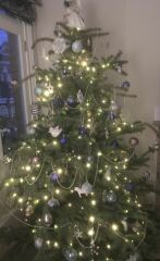 Show me your colourful Christmas trees