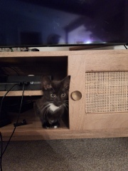 May 2025 Starters Thread 6 - We’re all totes protes now ✌️