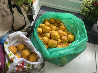 The Nigel Slater Christmas Chronicles Readalong 2025