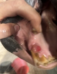 Waiting in the dentist for a filling
