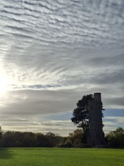 The Nigel Slater Christmas Chronicles Readalong 2025