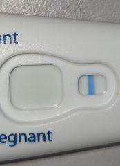 9dpo vvvfl Clearblue tests - is there a line?