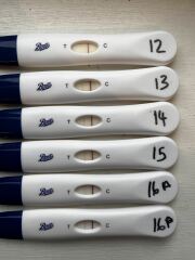 POAS come on you rainbows