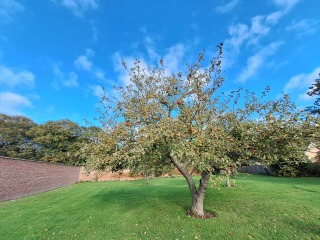 Year round Nigel Slater discussion thread Part 2