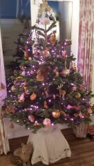 Show me your colourful Christmas trees