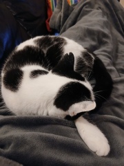 Mounjaro/Wegovy with >5 stone/30kg to lose - thread 10!