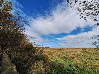 Year round Nigel Slater discussion thread Part 2