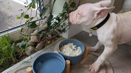 Cancer Support Thread 97: support for those diagnosed and going through treatment