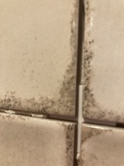 Aargh I Hate My Tiles…. Part 2: Aaah I Love My Tiles!
