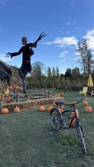 Daily Project round 8