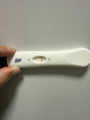 8dpo anyone see anything?