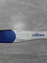 9dpo vvvfl Clearblue tests - is there a line?
