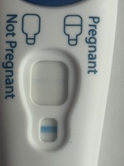 Positive clear blue negative pink dye?