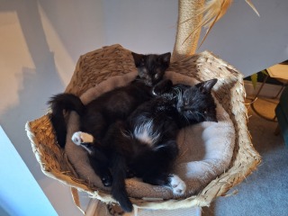 May 2025 Starters Thread 6 - We’re all totes protes now ✌️