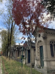 Year round Nigel Slater discussion thread Part 2