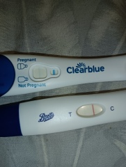 Chemical in March, 10dpo tests