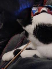 Mounjaro/Wegovy with >5 stone/30kg to lose - thread 10!