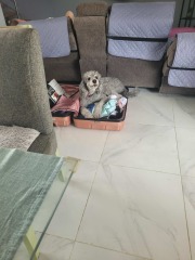 Could you cope with twin beds for one night?