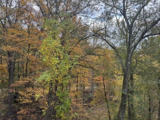 Come and tell us your dull and unexciting news 34: Calmly through the day