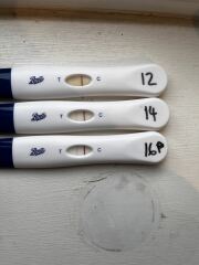 TTC Baby #3 Not our first rodeo 🤠