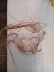 Anyone used Bedhead shampoo and Cond?