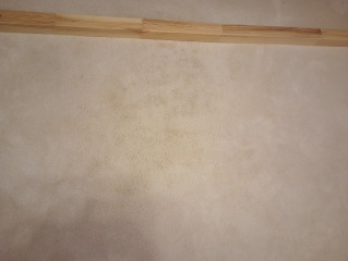 Is there anything else I can try on this vomit stain?