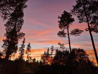 Year round Nigel Slater discussion thread Part 2