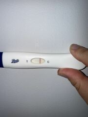 8dpo anyone see anything?