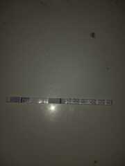 Pregnancy tests