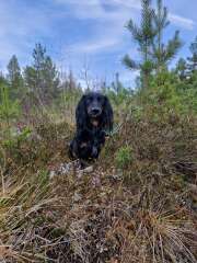 Year round Nigel Slater discussion thread Part 2