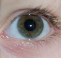What colour are my DD's eyes?