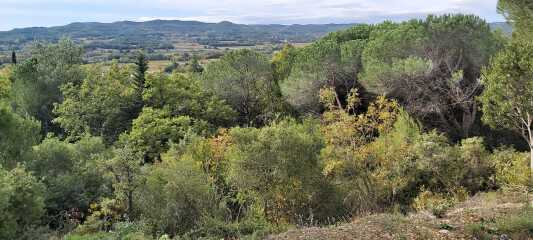 Poncetastic Christmas 2025