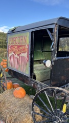 Daily Project round 8