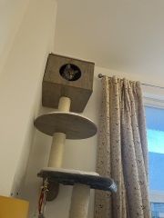 Cat tree - yes or no?