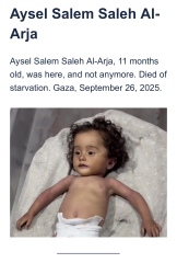 Why would would you still have pro Palestinian marches apart from now instilling more fear into the Jewish community