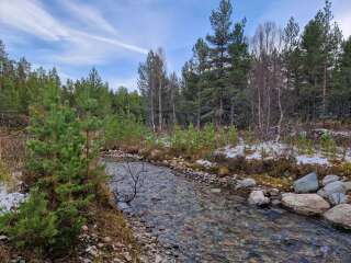 Year round Nigel Slater discussion thread Part 2