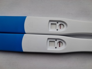 9dpo positive or evap?