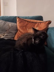 May 2025 Starters Thread 6 - We’re all totes protes now ✌️