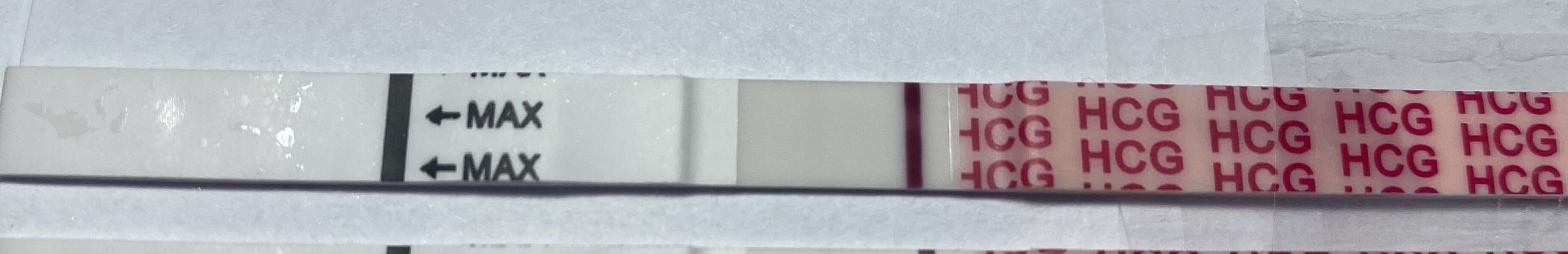 3BB embryo transfer 2WW
