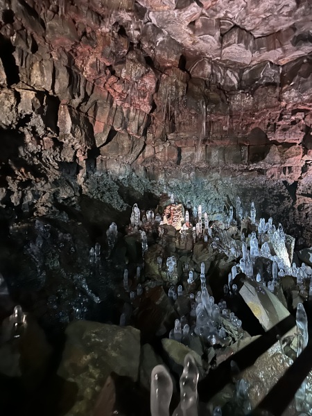 The Nigel Slater Christmas Chronicles Readalong 2025