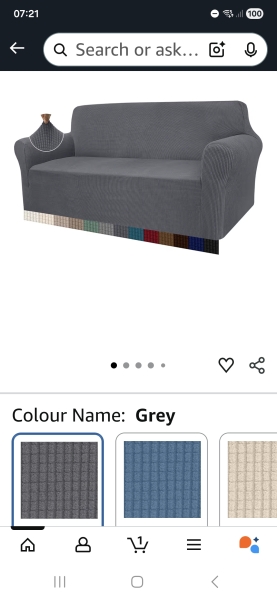 Recommendations for a sofa cover for dog